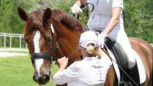 Liability Coverage from Equine Insurance Specialists
