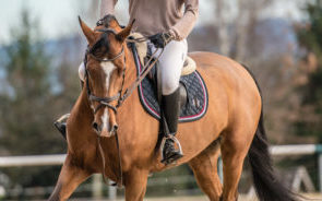 Instant Online Mortality Quotes – Part 2 of 3  (Adding Optional Coverages)